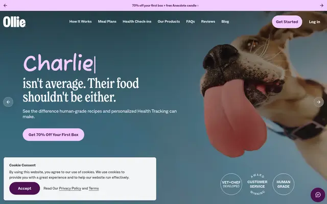 Ollie Pets Shopify homepage screenshot